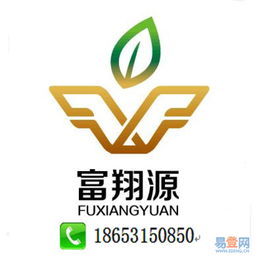 濟南公司代理記賬服務詳解 歷城區洪家樓易登網與知識產權代理的協同優勢